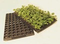 Jiffy 7 Pellets - 30mm in Tray